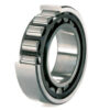 Cylindrical Roller Bearings